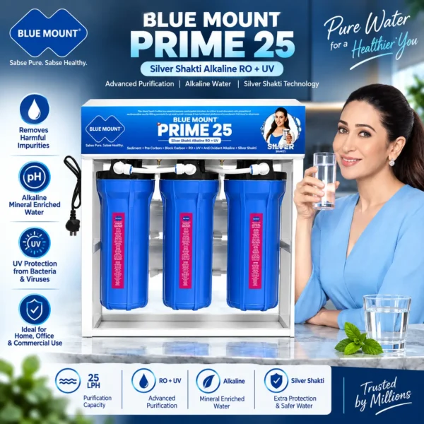 Blue Mount Prime 25 LPH RO Plant Silver Shakti Alkaline RO UV